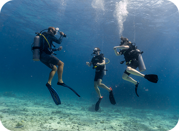 û�ҳ⽺Ų������