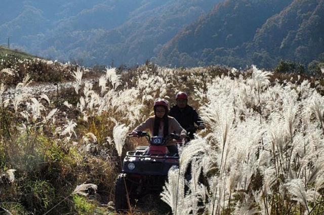 ��ǹ���ũ �̹���