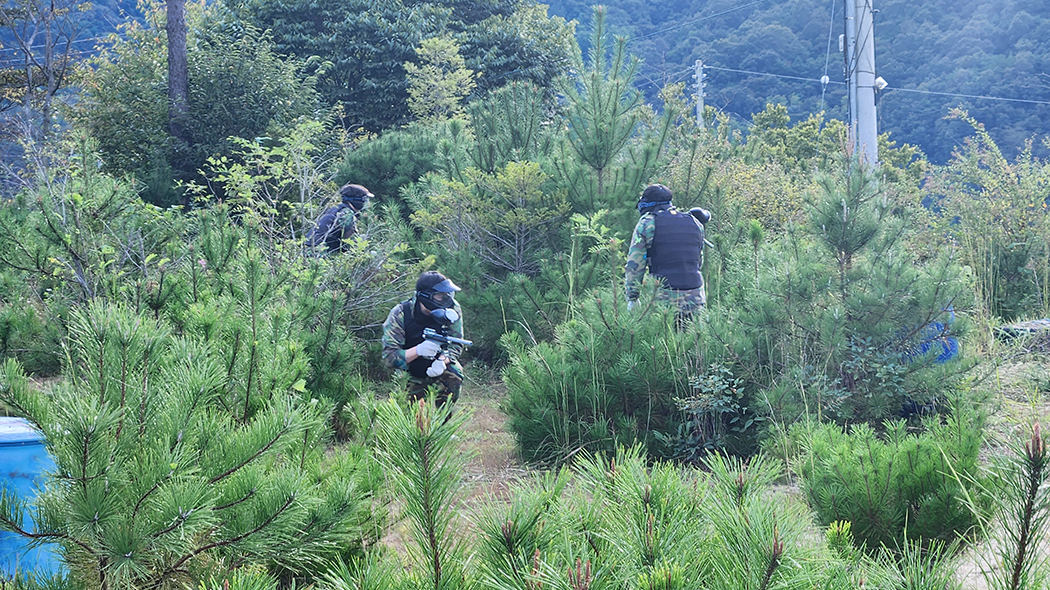 �����̹� �̹���