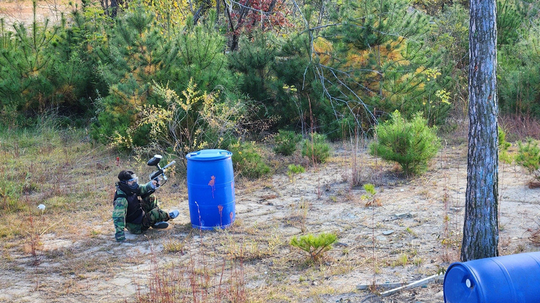 �����̹� �̹���